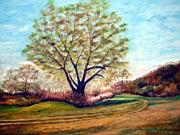 Tavasz a Tapio videken olaj farost 35 x50 cm.jpg
