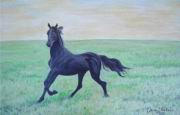 Lo a pusztan (Horse in the wilderness).jpg