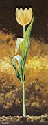 71_Sarga_tulipan_2010.jpg
